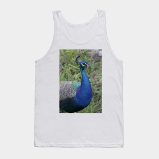 Peacock Tank Top